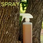 The Ultimate Homemade Fly Spray