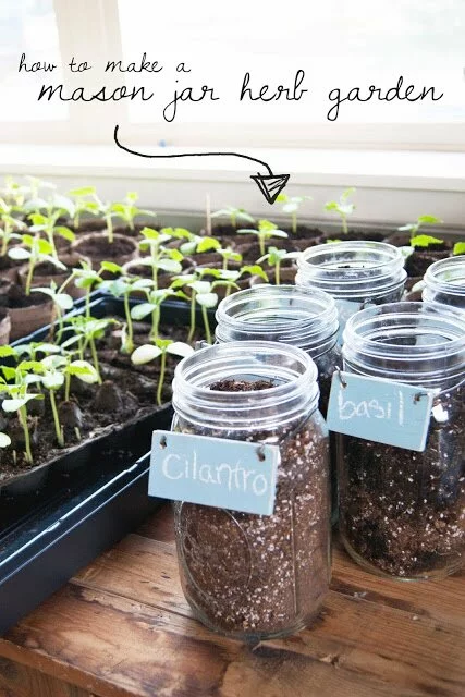 How to Make a Mason Jar Herb Garden