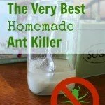 The Very Best Homemade Ant Killer