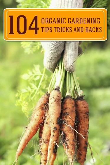 104 Organic Gardening Tricks, Tips & Hacks
