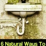 6 Natural Ways To Rid Your Home Of Mold & Mildew