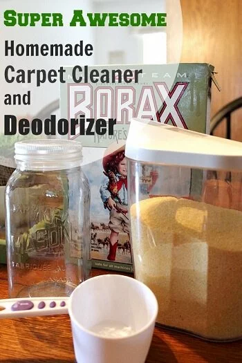 Super Awesome Carpet Cleaner (+ Deodorizer)