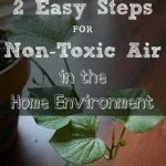 2 Easy Steps for Non-Toxic Air in the Home