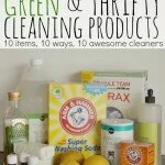 10 Green And Thrifty Cleaning Products
