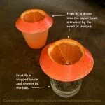DIY Cheap, Efficient, Easy And Cute Fruit Fly Trap