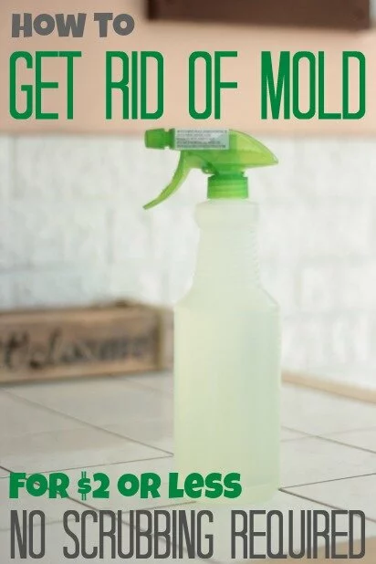 How to Get Rid of Mold (For $2 Or Less) No Scrubbing Required!