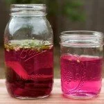 Detox Water Recipes For Cleansing & Wellness