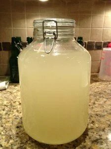 How To Make Probiotic Lemonade