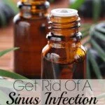 Get Rid of A Sinus Infection with Tea Tree Oil
