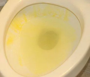 How To Clean Stubborn Toilet Bowl Ring For $0.25