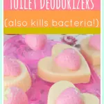 Make Your Own Toilet Deodorizers