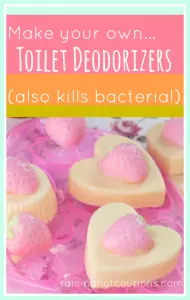 Make Your Own Toilet Deodorizers