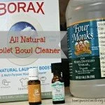 All Natural Toilet Bowl Cleaner