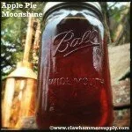 How To Make Apple Pie Moonshine