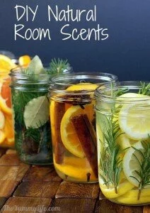 Homemade Natural Room Scents - 5 natural air freshener recipes