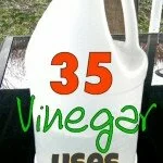 35 Amazing Uses for Vinegar