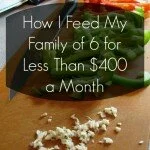 How To Feed A Family Of 6 For Less Than $400 A Month