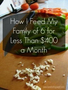 How To Feed A Family Of 6 For Less Than $400 A Month