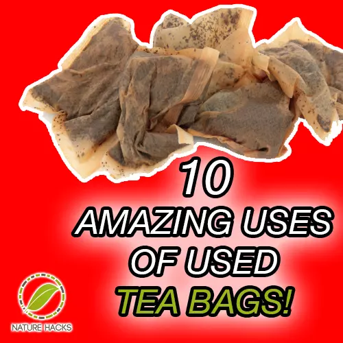 10 Amazing Things You Can Do With Used Tea Bags