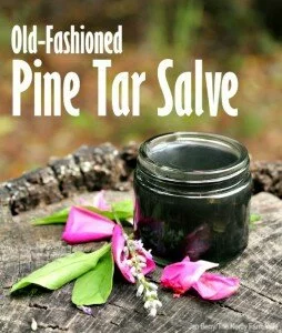 Homemade Old-Fashioned Pine Tar Salve
